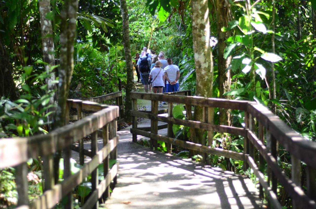 Veragua Rainforest Puerto Limon Exteriér fotografie
